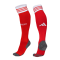 Bayern Munich Soccer Socks Replica Home 2023/24 Mens