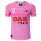 Penrith Panthers NRL Rugby Jersey Away 2023 Mens