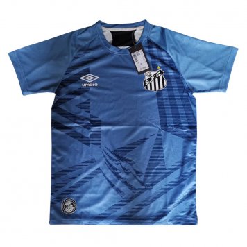 2020/21 Santos Goalkeeper Blue Mens Soccer Jersey Replica