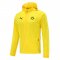 2020/21 Borussia Dortmund Yellow All Weather Windrunner Soccer Jacket Mens