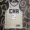 Charlotte Hornets Swingman Jersey - City Edition Brand Grey 2019/20 Mens (BALL #2)