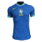 Brazil Soccer Jersey Replica Away 2024 Mens (Player Version)