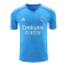 Real Madrid Soccer Jersey Replica Goalkeeper Blue 2023/24 Mens