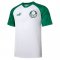 Palmeiras Soccer Training Jersey Replica Green 2023/24 Men's