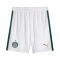 SE Palmeiras Soccer Shorts Replica Home 2024/25 Mens