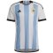 Argentina Soccer Jersey Replica 3-Star Home World Cup Champions 2023 Mens
