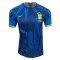 Brazil Soccer Jersey Replica Special Edition Blue Cactus Mens 2022