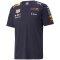 Oracle Red Bull Racing F1 Team T-Shirt Navy Mens 2022