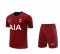 2020/21 Tottenham Hotspur Goalkeeper Red Mens Soccer Jersey Replica + Shorts Set