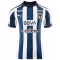 Monterrey Soccer Jersey Replica Blue&White 2023/24 Mens (Special Cup)