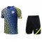 Chelsea Blue Soccer Training Suit Jerseys + Short Mens 2021/22