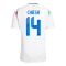 Italy Soccer Jersey Replica Away Euro 2024 Mens (CHIESA #14)