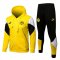 Borussia Dortmund Soccer Training Suit Jacket + Pants Hoodie Yellow Mens 2021/22