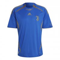 Juventus Soccer Jersey Replica Blue Teamgeist Mens 2021/22