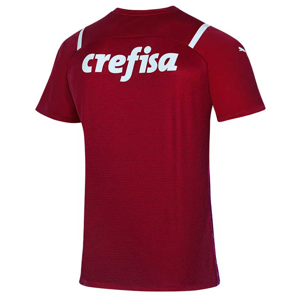2021/22 Palmeiras Goalkeeper Red Soccer Jersey Replica  Mens 
