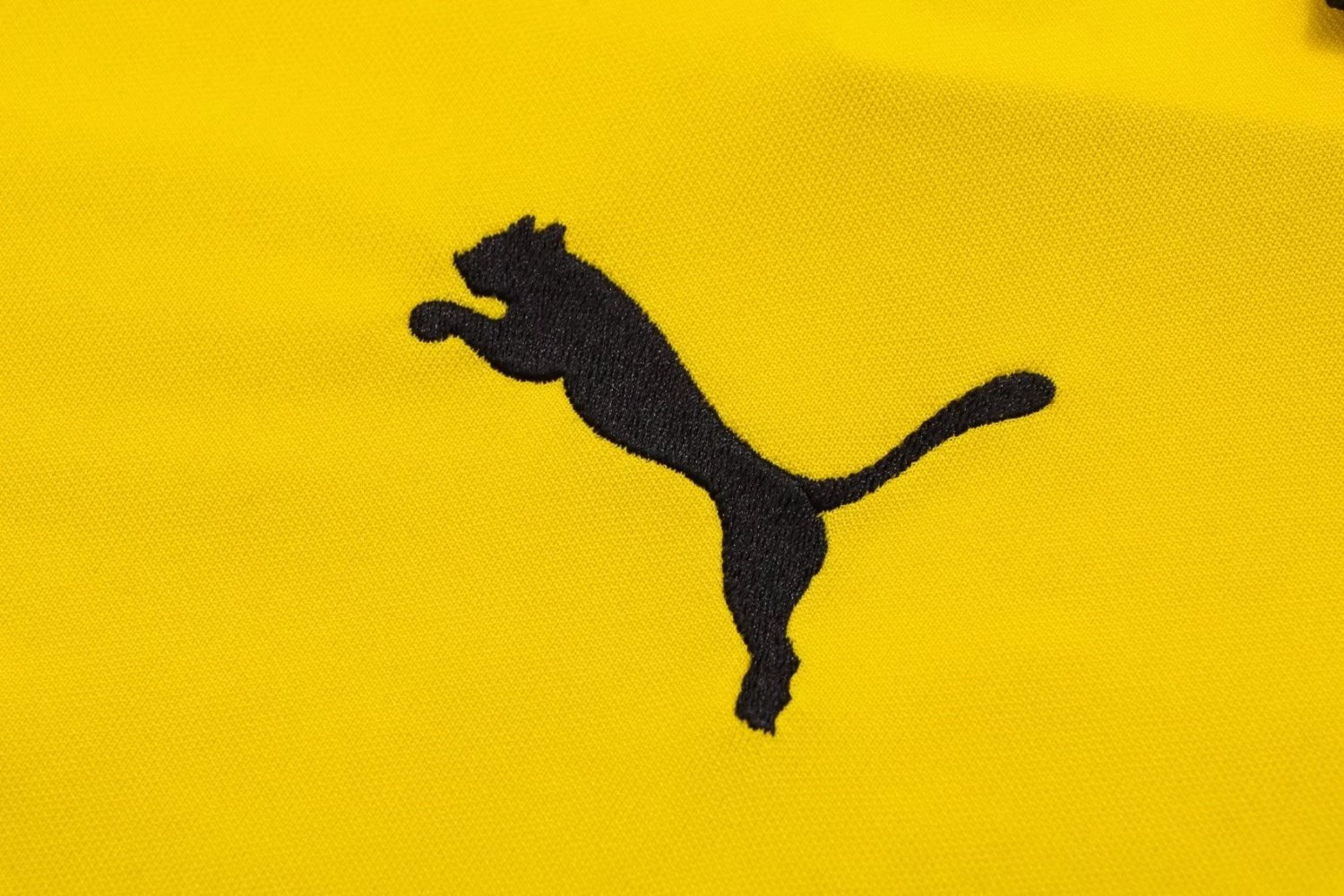 Borussia Dortmund Soccer Polo Jersey Replica Yellow Mens 2022/23